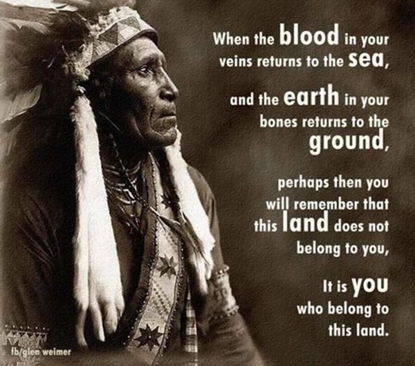 The image features a sepia-toned photograph of an elderly Native American man wearing a feathered headdress and a sash with a star pattern. The man is gazing to his left, and his expression appears serious. The background is a dark, solid color.  The text in the image is a quote from a poem by William Butler Yeats, which reads:  "When the blood in your veins Return to the sea And the earth in your bones Return to the ground Perhaps then you will remember That this land Does not belong to you It is you Who belong to this land."  The quote is written in white, bold font and is positioned to the right of the man's image, with the text flowing from top to bottom. The overall effect is a somber and contemplative mood, evoking a sense of connection to the land and a sense of responsibility to protect it.